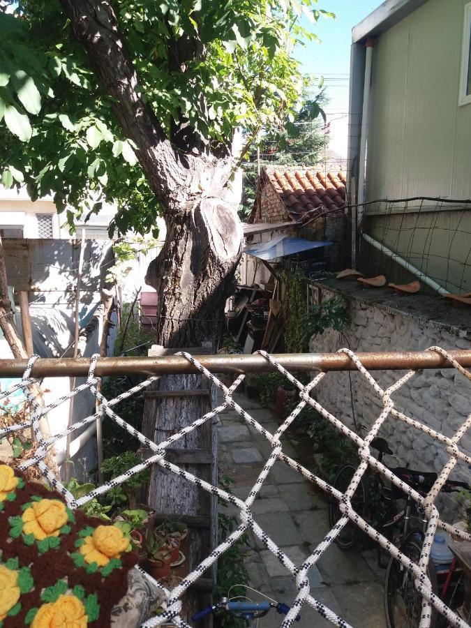 At Home Hostel Korce Exterior foto